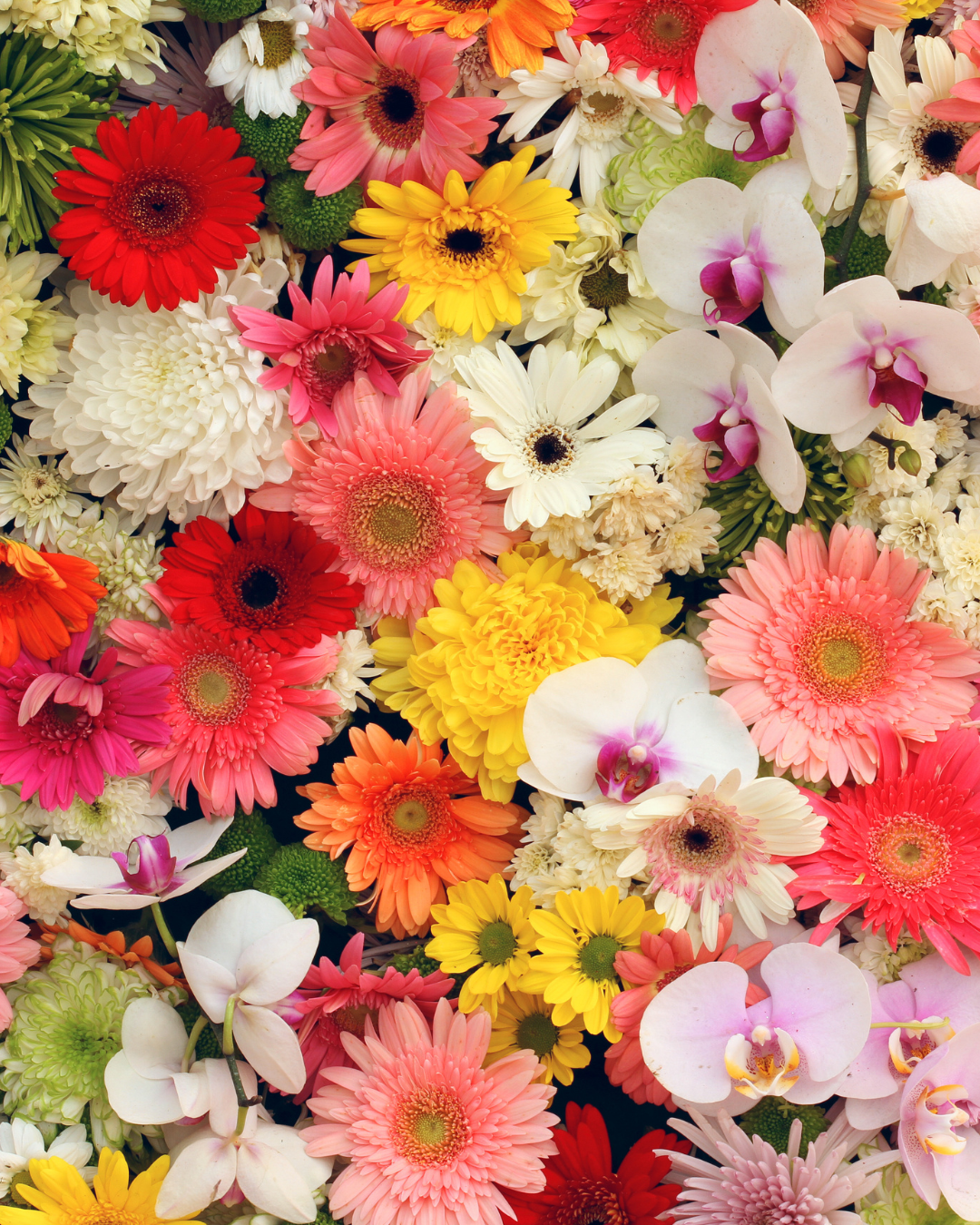 Floral Scents
